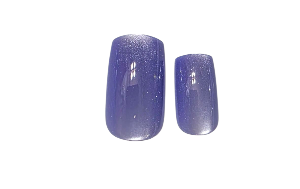 $2.99 Disposable Nail Set