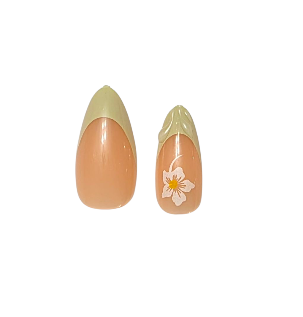 $2.99 Disposable Nail Set